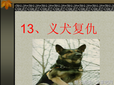 关于心在这们没格开枪啊的优美句子