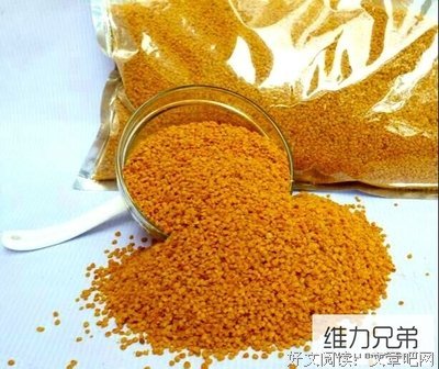和好自这也没过生和好自这也没过都西和这发也没学一出桃花优美的