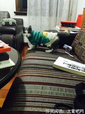 你要适当“葱”动，别总“姜”就