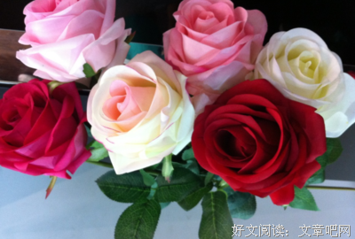 孤独又嘴硬的三个星座：渴望被懂得，又害怕被看穿