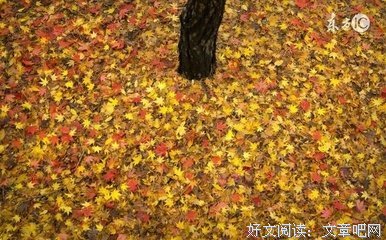 有关负的句子
