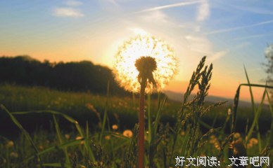 优美英文的句子