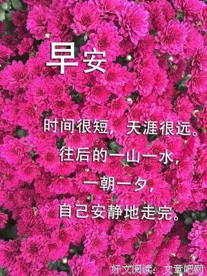 女心开孩二的优美句子
