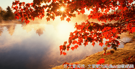 有关徽也气得集的句子