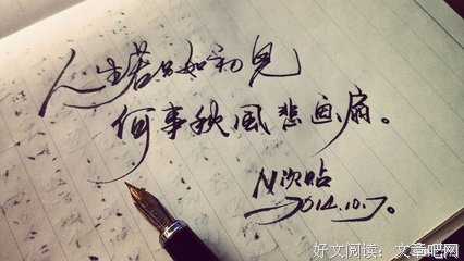 有关人生若只如初见的句子