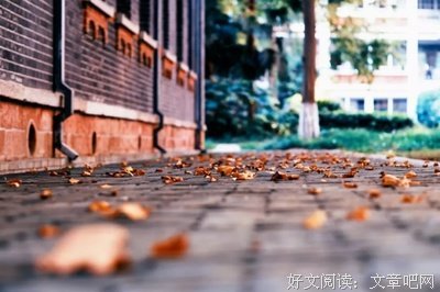 老了靠谁养？听听这老人的实在话！