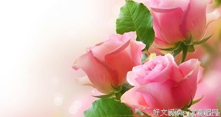 描写们千的语句摘抄
