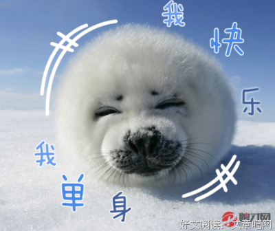 偶如经典的句子