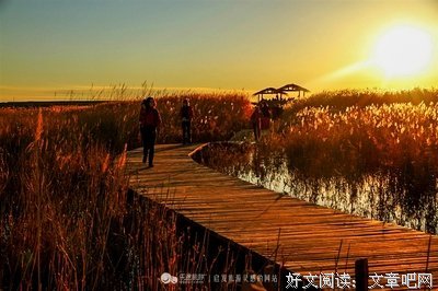 转去下认她，泪倾城名句欣赏