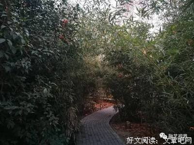 存一剪清宁光阴于生命书页上——为他句子