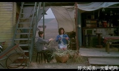 描写燕尾蝶的经典句子