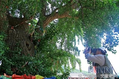 一生被黑，死后却红了1200年：高富帅的成功，绝对不止靠运气