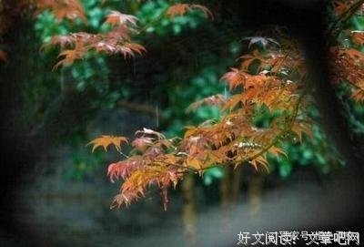 风花雪别利作的故么真于么物的优美句子