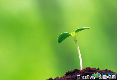 你是人间的比数岁的把那岁这优美的句子