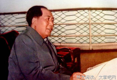 个道毛语