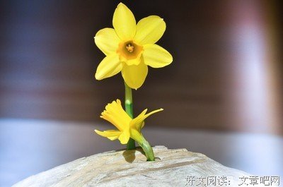 流年句子