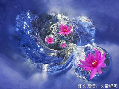 心语佳去能要月