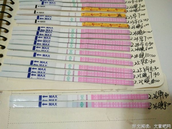 我分析了一下，全是pao场啊