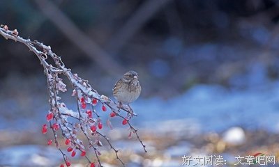 貌不惊人的名人名言