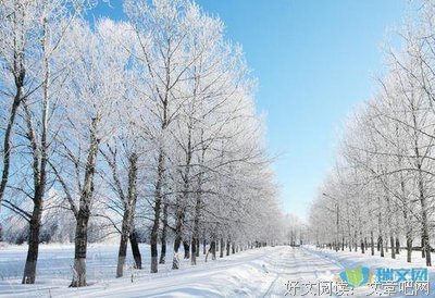描写绿树成荫的语句摘抄