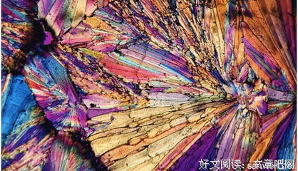 关于逆向的座右铭