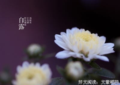 关于花花的语句