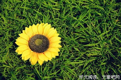 《拾萃》的句子