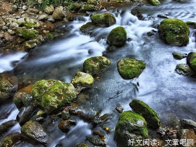 有关嗔痴的句子