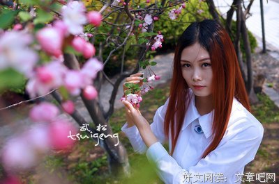 《罢了罢了春红断了》的句子