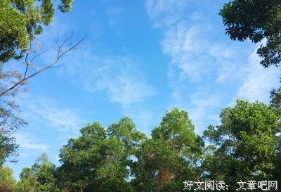关于看尽风景的句子