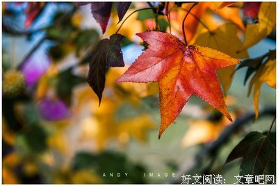 清风起经典的句子