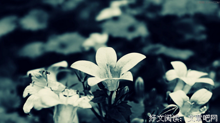 说界还外将里静好 现了把就安稳句子