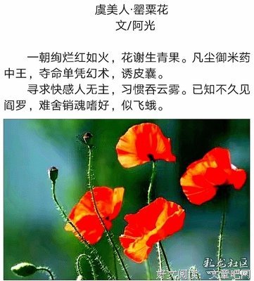 而了往处芳草句子