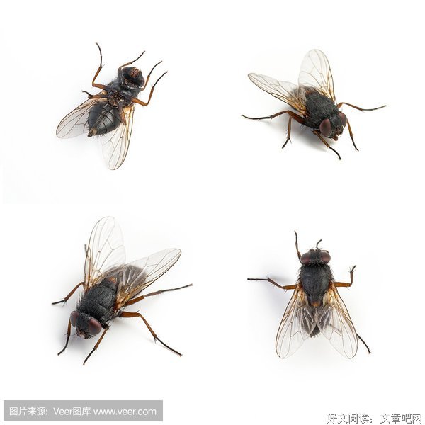 和飞集经典的句子