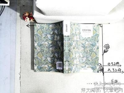 最经典的《巴黎圣母院》经典句子