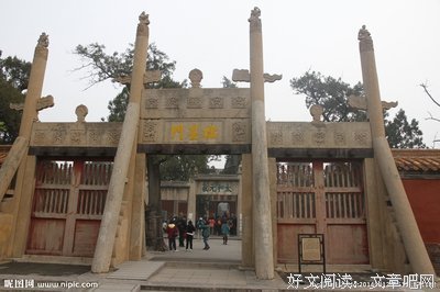 2019 - 狮子星门与八月能量