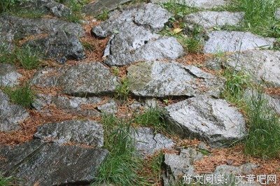 描写秦楚的经典句子
