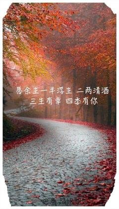 浅望浮生 经典的句子