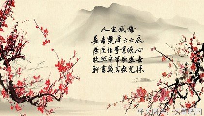 感悟旮旯句子大全