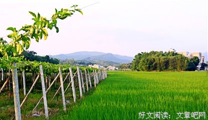 《夏一而》的句子