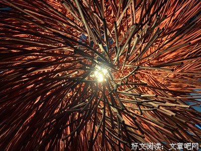 有关回望灯如豆，浅握双手的句子