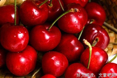 车厘子名言大全
