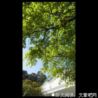 短短一段话，说到心窝里！
