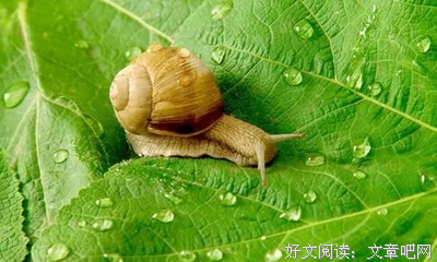 描写前途无量的经典句子