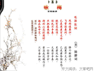 关于卜算子的名句摘抄