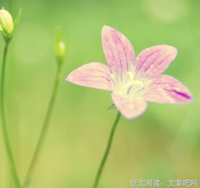 最i句子