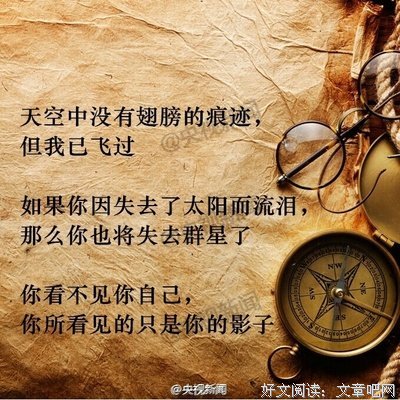 爱情集的句子