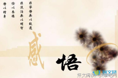 关于感悟的句子