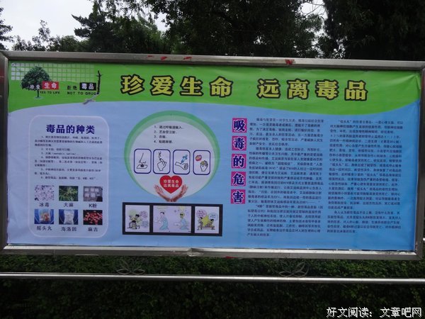 珍爱句子大全