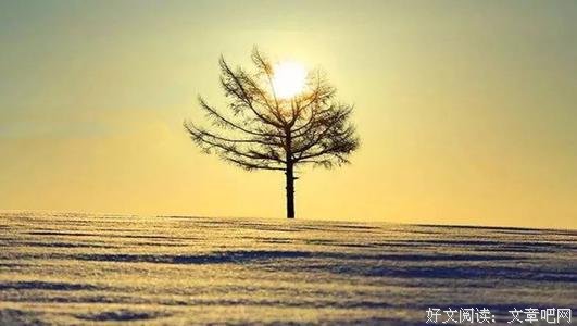 改变人生的不是鸡血，而是习惯